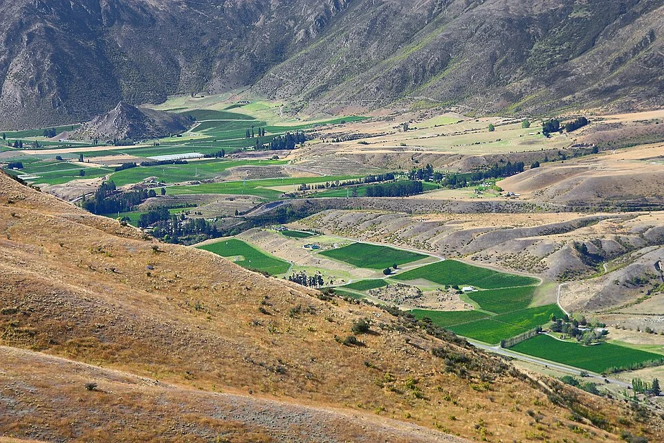 Central Otago wine region. Vineyard in Gibbston Valley in South Island, New Zealand.)