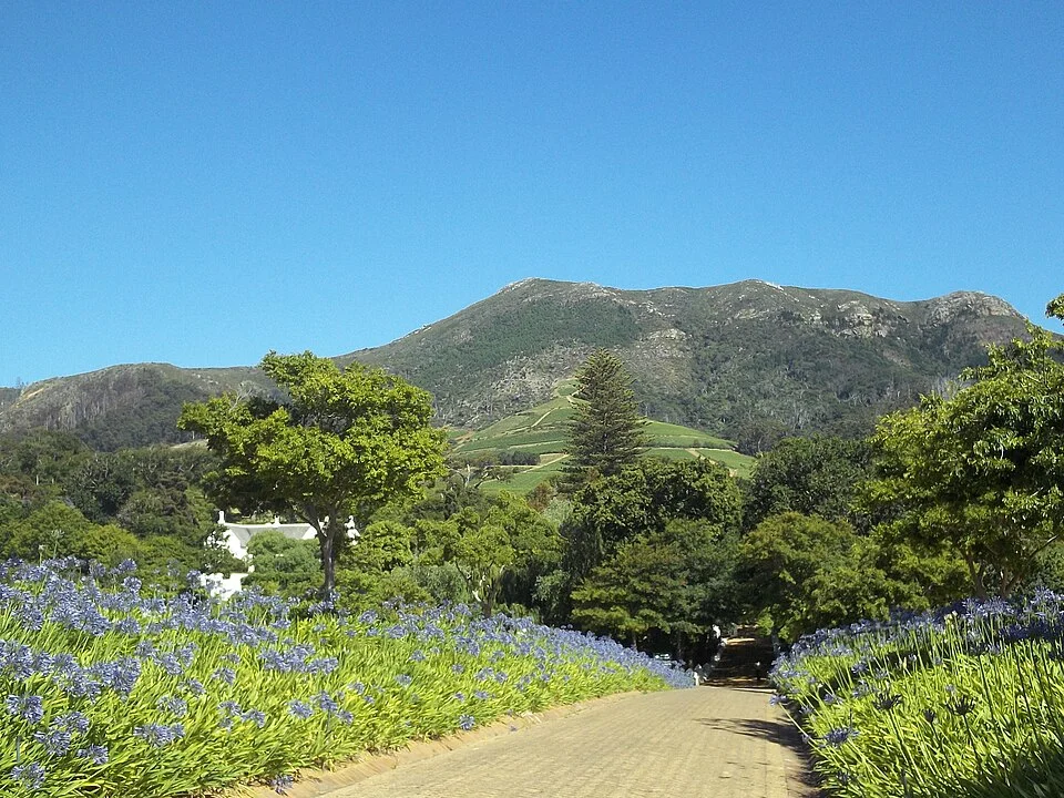 The road leading to the Klein Constantia Manor House, Cellar and Tasting Room