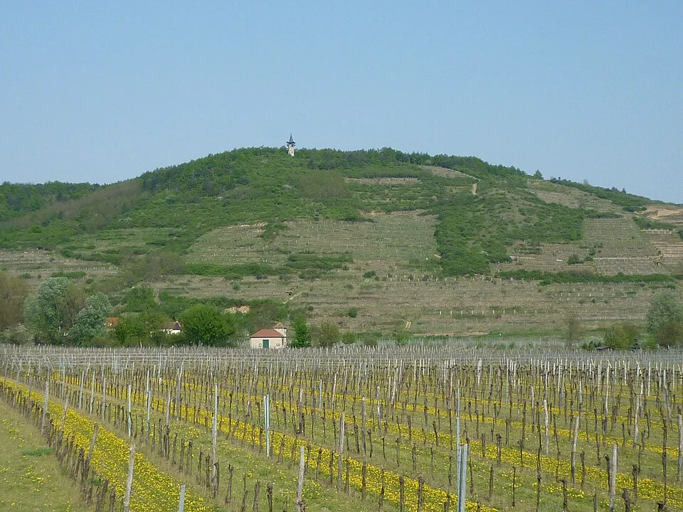 Stadt Langenlois, Ort Zöbing, Niederösterreich. Heligenstein mit Kamptalwarte.