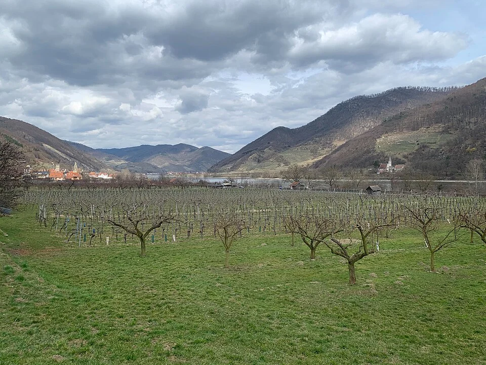 Lower Austria, Austria, March 2021