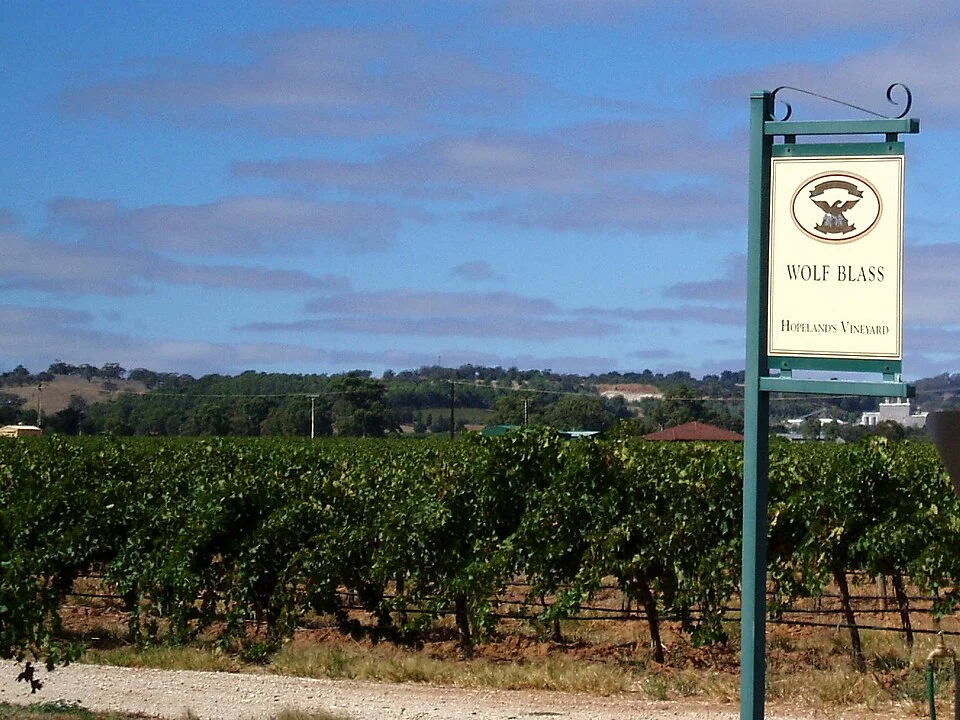 Wolf Blass vineyard in the South Australian wine region of the Barossa Valley.