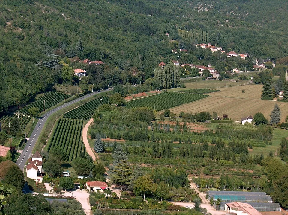 Vignoble du Cahors dans la vallée du Lot. Vue d'une colline de la rive droite. Les vignobles de Cahors sont sur la rive droite du Lot entre Castelfranc et Luzech autour des pépinières Passedat. On voit sur la rive gauche des rangées de vignes également.