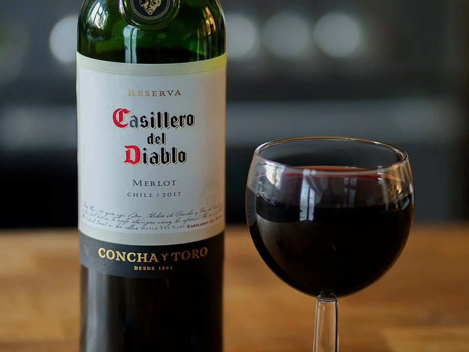 Casillero del Diablo · Merlot 2017