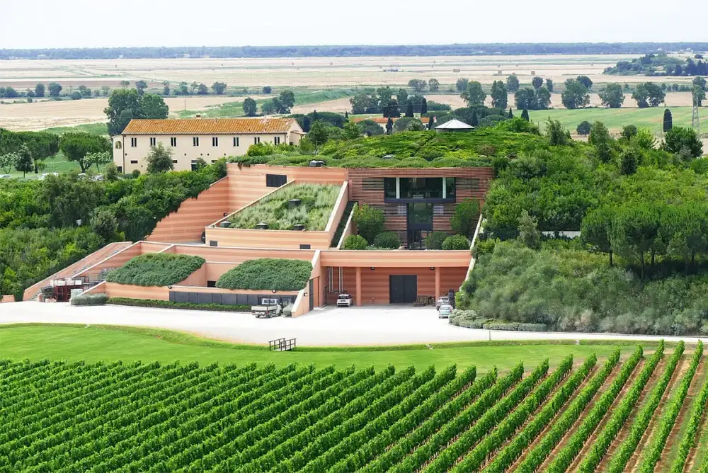 Chai Antinori de la Tenuta Le Mortelle